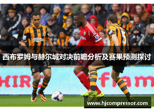 西布罗姆与赫尔城对决前瞻分析及赛果预测探讨